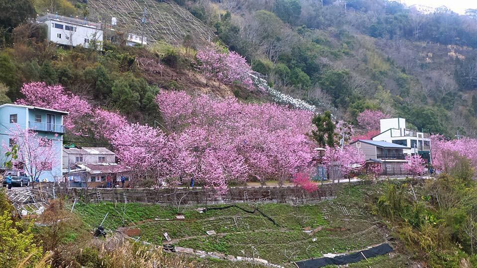 La La Shan 5.5Knong Zhuang Hualing Extérieur photo