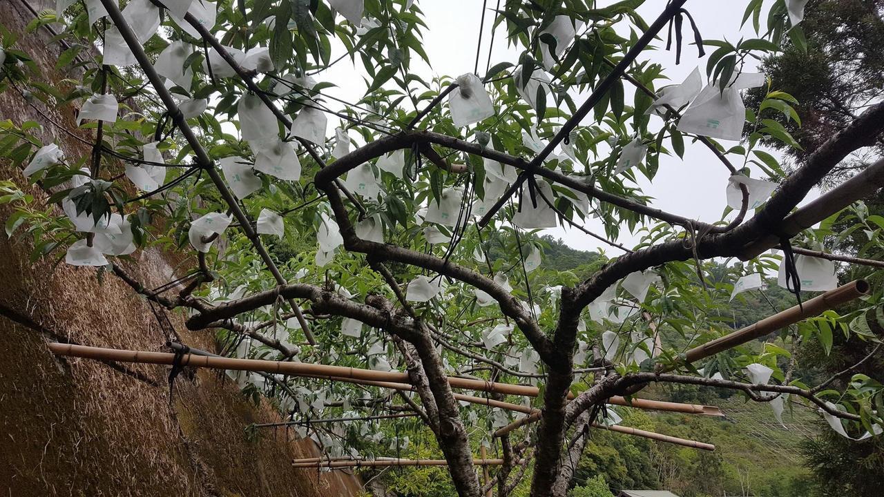 La La Shan 5.5Knong Zhuang Hualing Extérieur photo