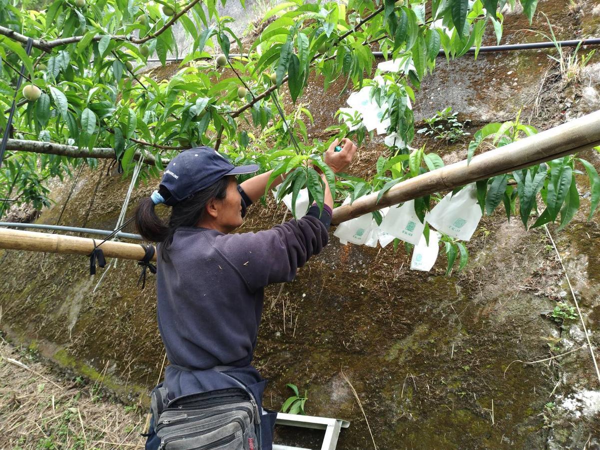La La Shan 5.5Knong Zhuang Hualing Extérieur photo